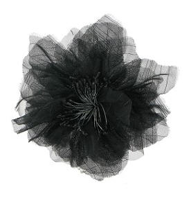Fleur noire camaieu