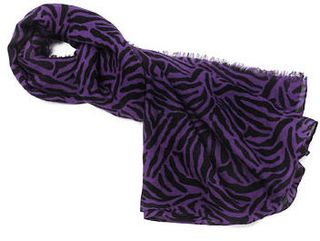 Etole zebre violette