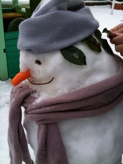 Bonhomme de neige 2