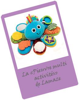 Pieuvre multi activite